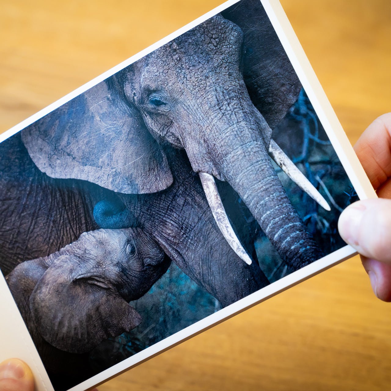 Postkarten aus Afrika