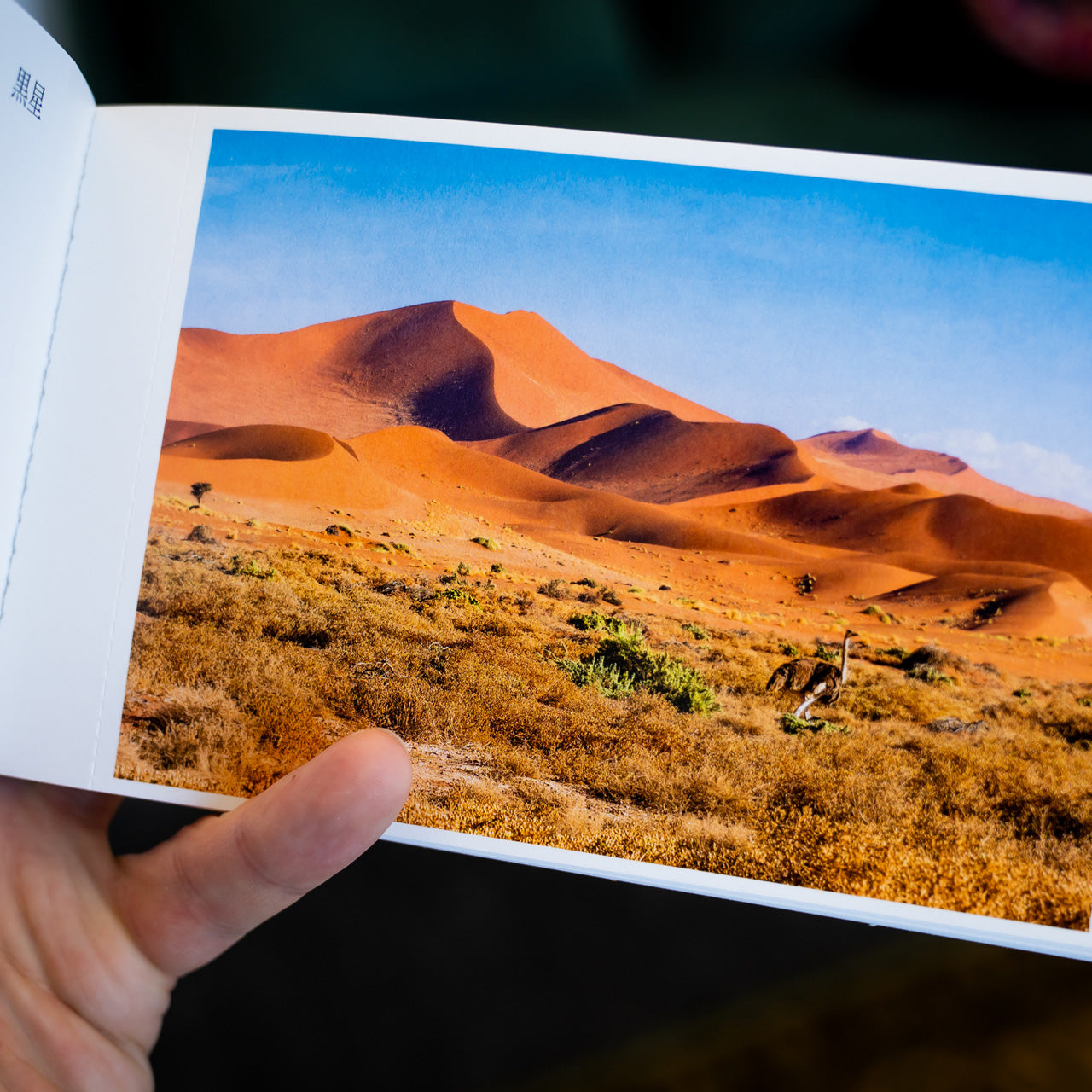 Afrika auf Postkarten | Buch